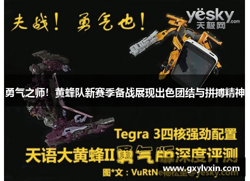 勇气之师！黄蜂队新赛季备战展现出色团结与拼搏精神